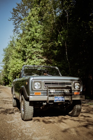 a truck parked on the side of a dirt road
