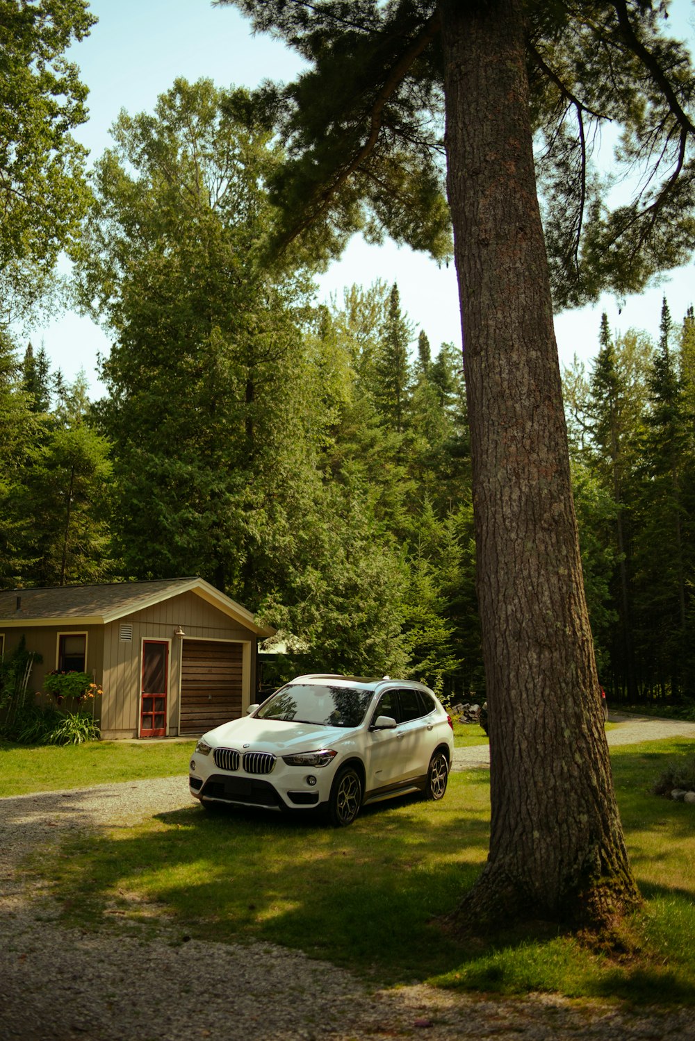 a white car parked in front of a tree