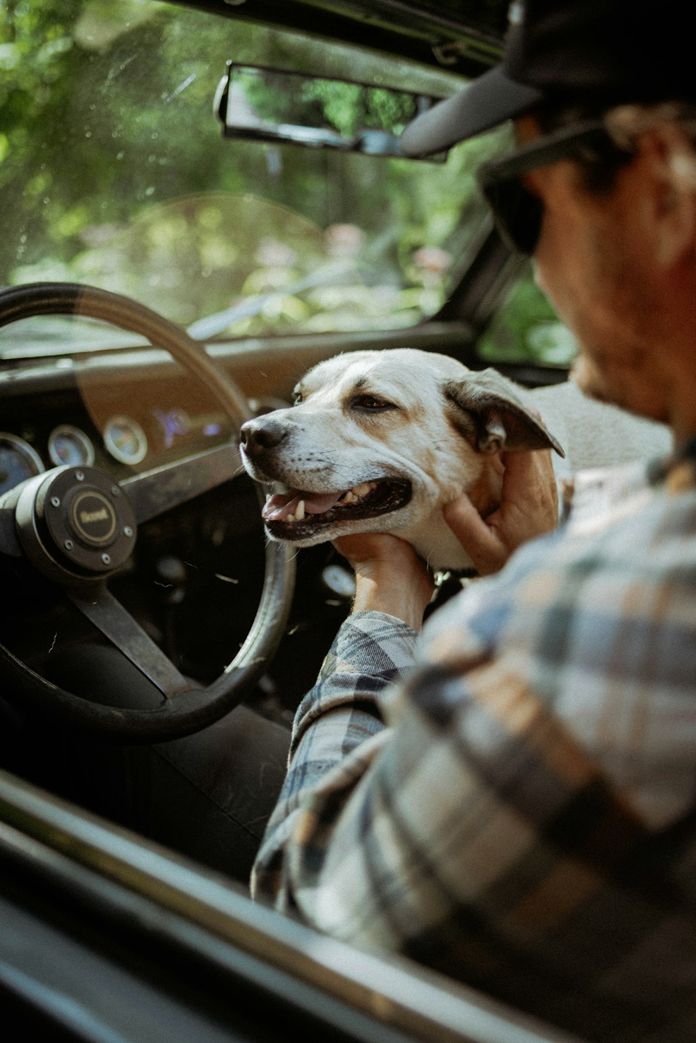 a man driving a car with a dog in his lap