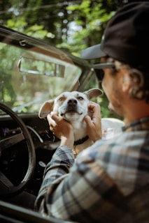 A person in a plaid shirt and cap lovingly holds a dog’s face with both hands while sitting in a car. The windows of the car are open, and sunlight filters through surrounding trees, giving a warm and serene outdoor ambiance.