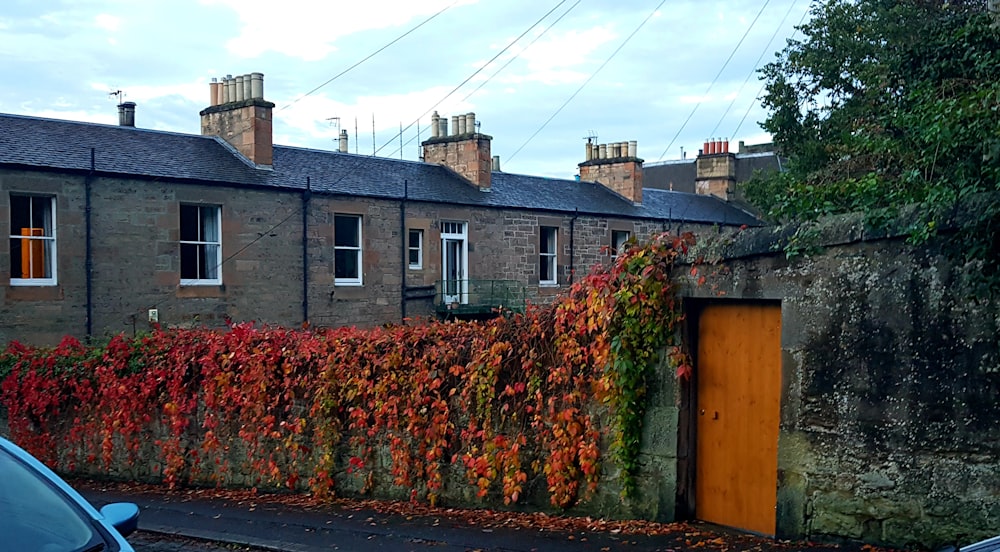 a brick building with ivy growing on it's side