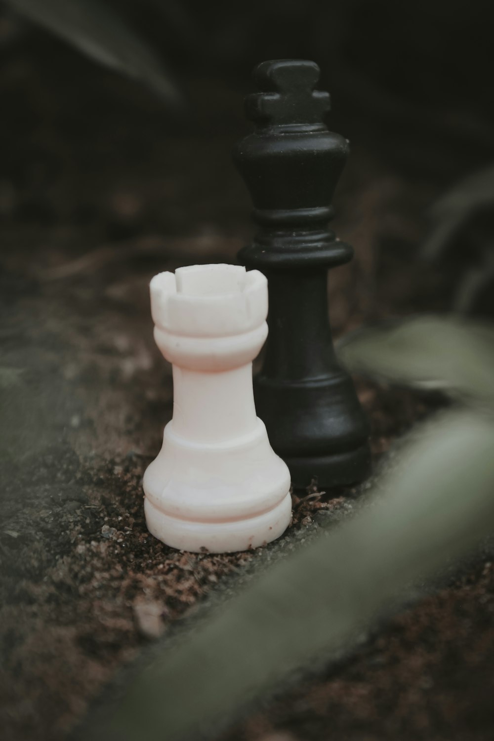 a black and white chess piece sitting next to each other