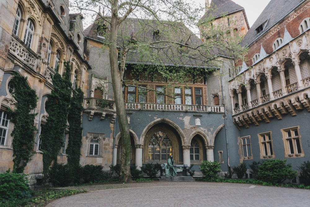 an old building with a tree in front of it