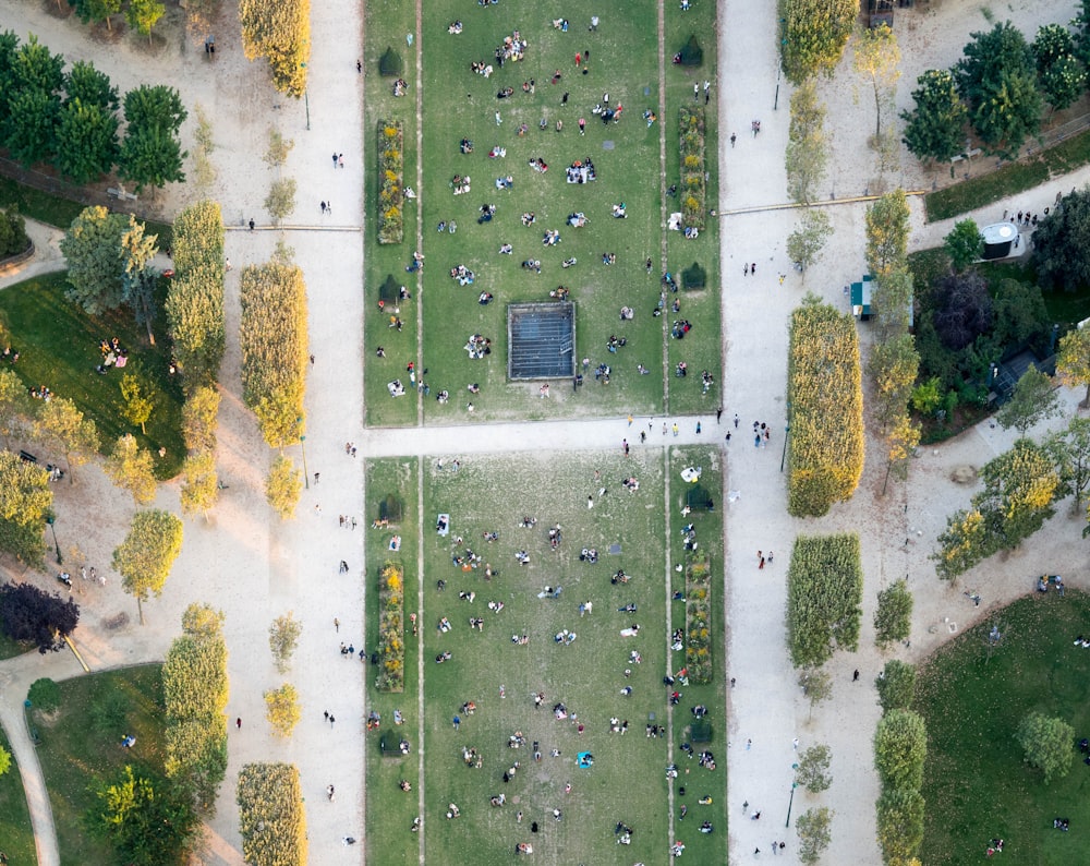 an aerial view of a park with a lot of people
