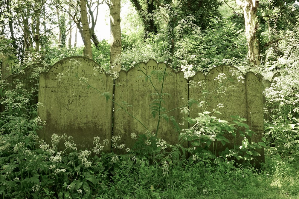 a stone fence surrounded by trees and plants