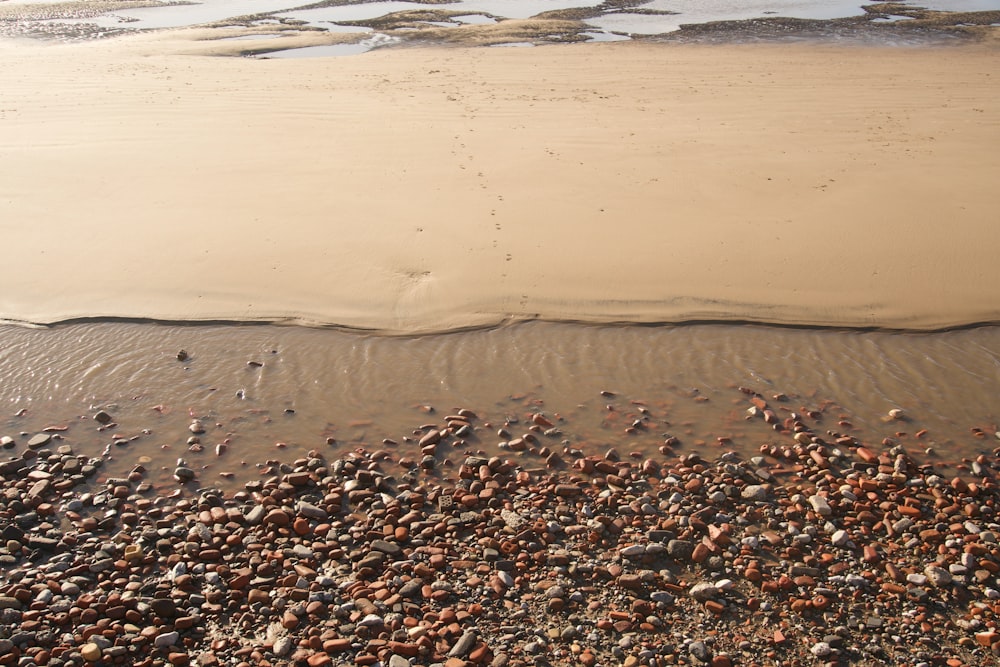 a sandy beach next to a body of water