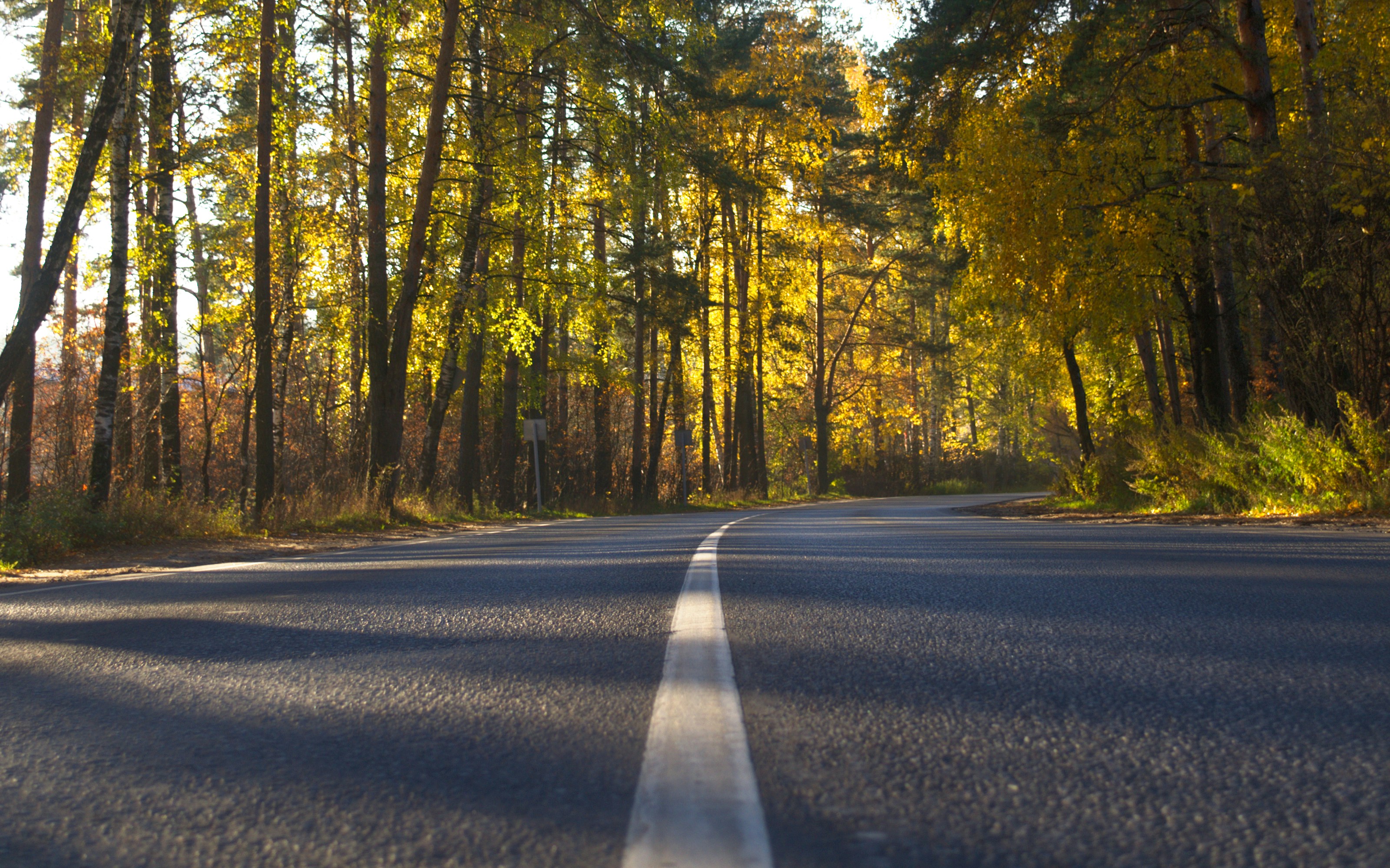 Photo by majorlettuce