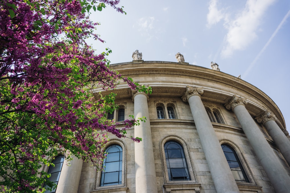 a large building with columns and a tree in front of it