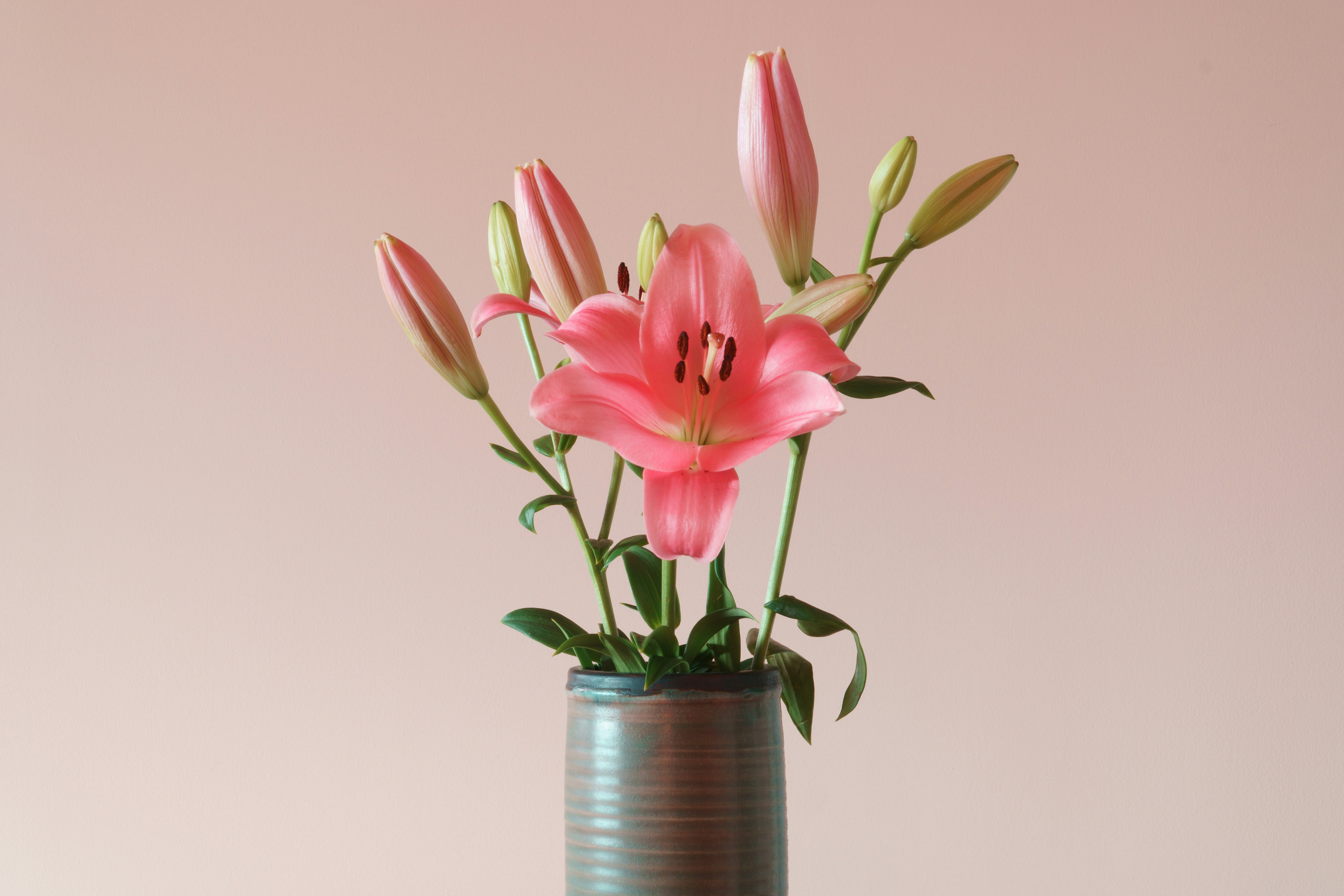 Photo by earl_plannerzone