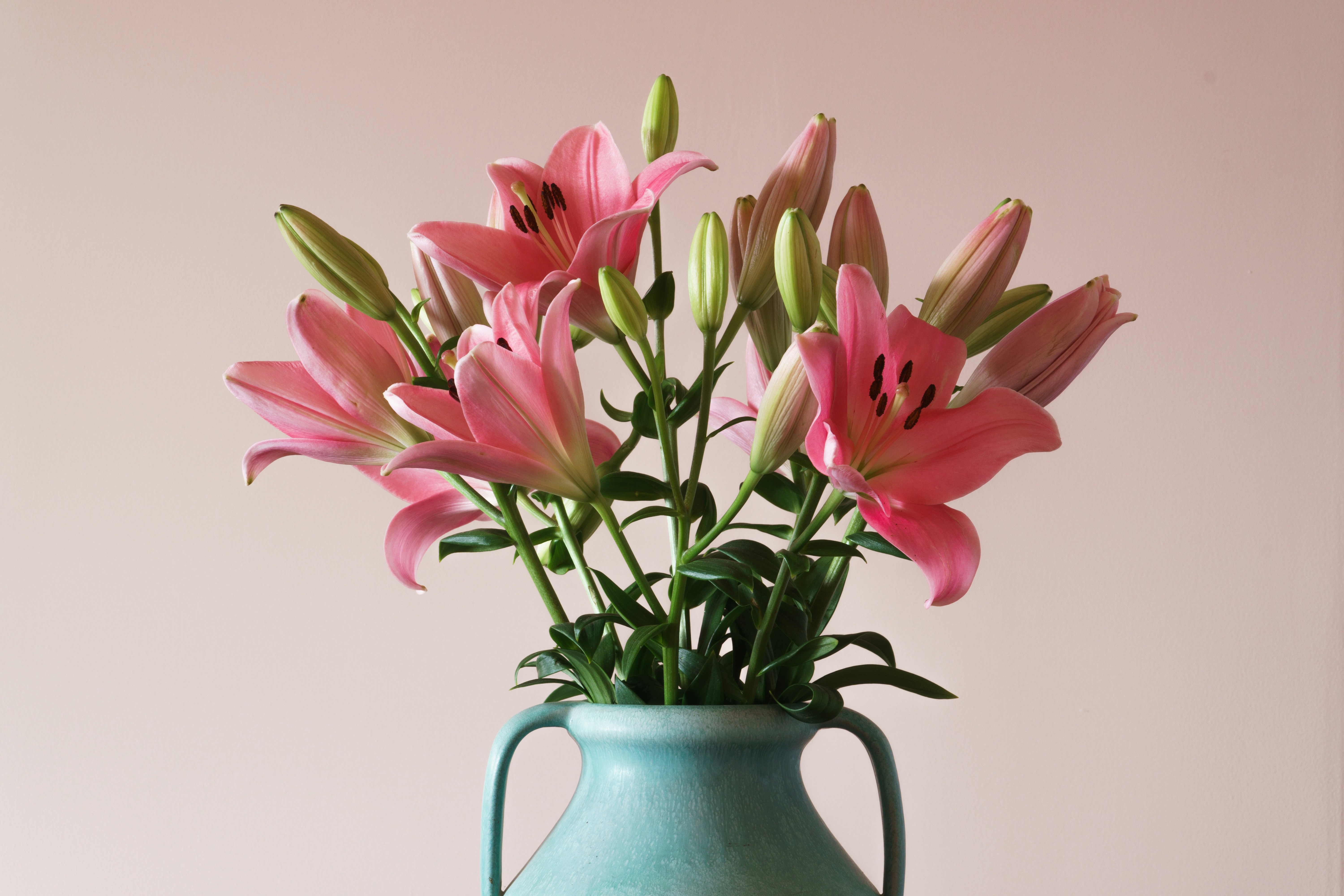 Photo by earl_plannerzone