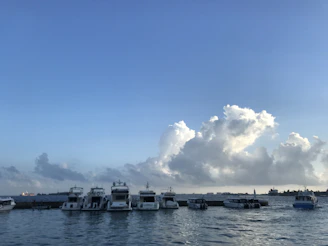 A serene view of a marina with yachts docked, framed by clear blue skies and calm sea.