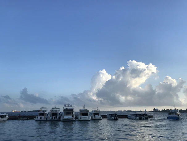 A serene view of a marina with yachts docked, framed by clear blue skies and calm sea.