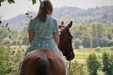 a young girl riding on the back of a brown horse