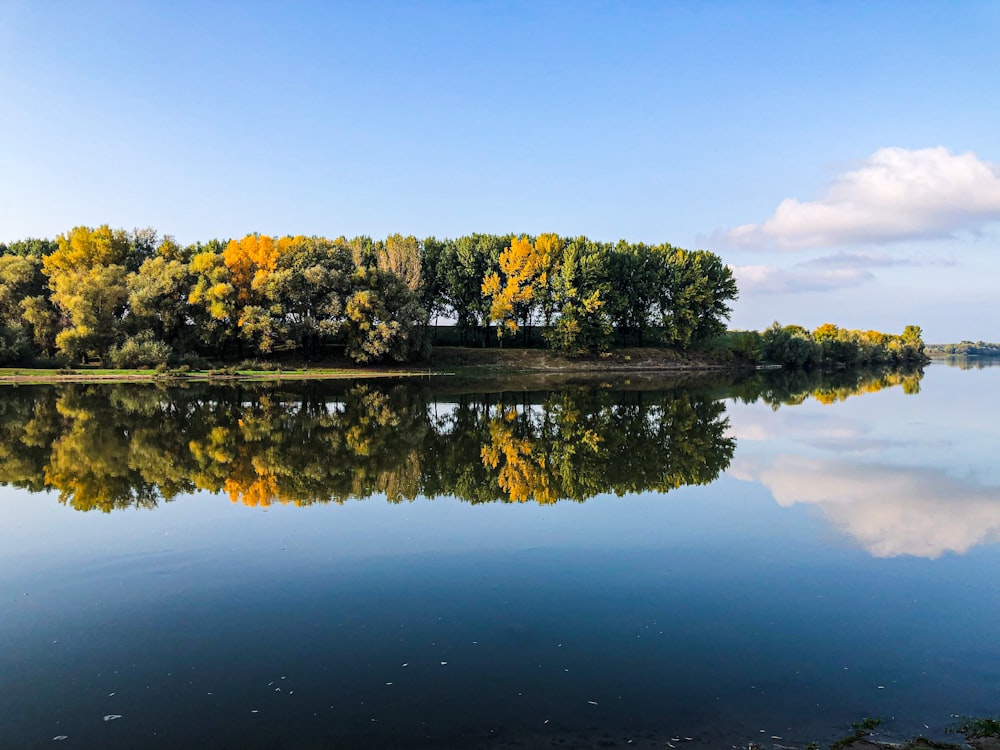 a large body of water surrounded by trees