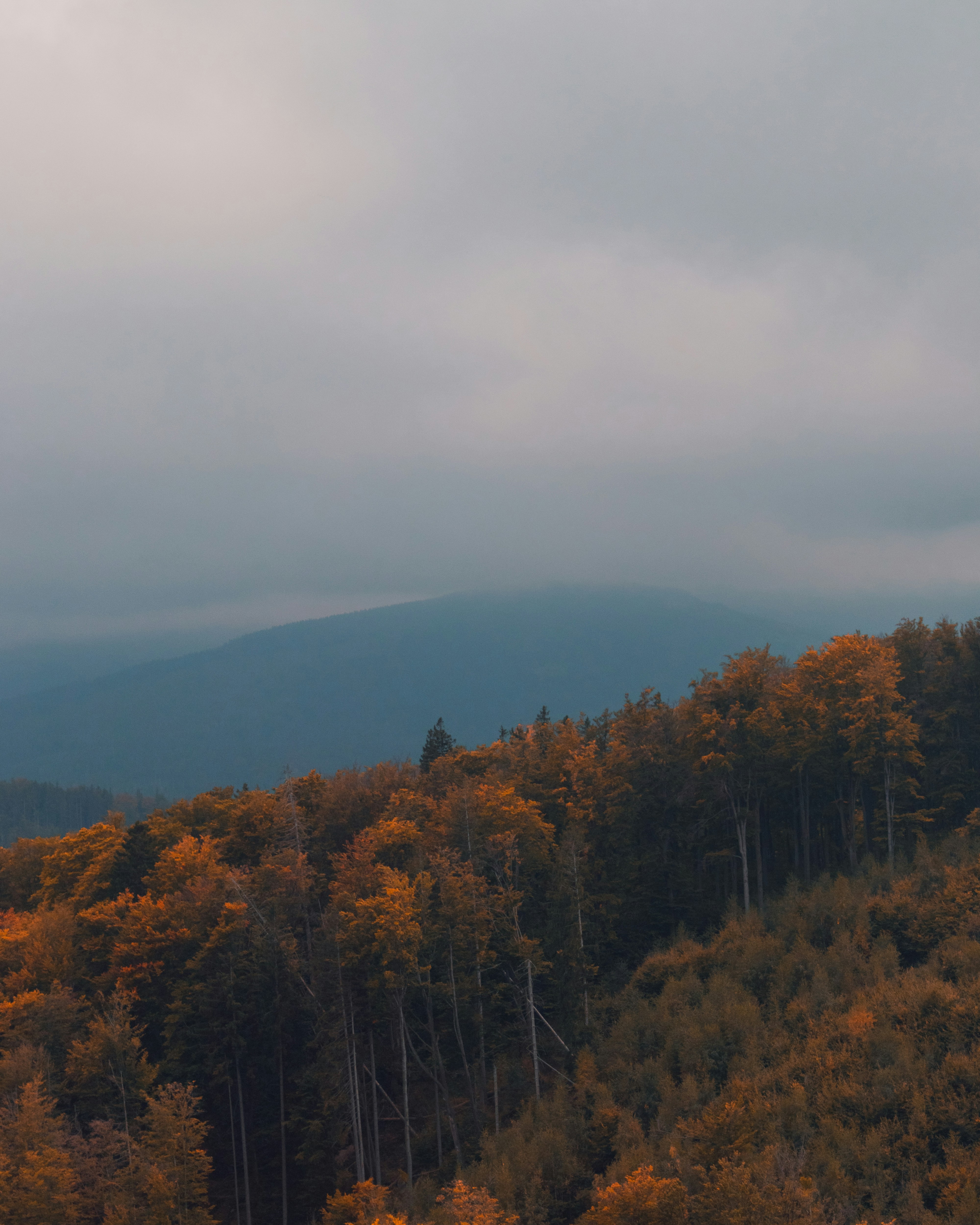 Photo by wodzu945