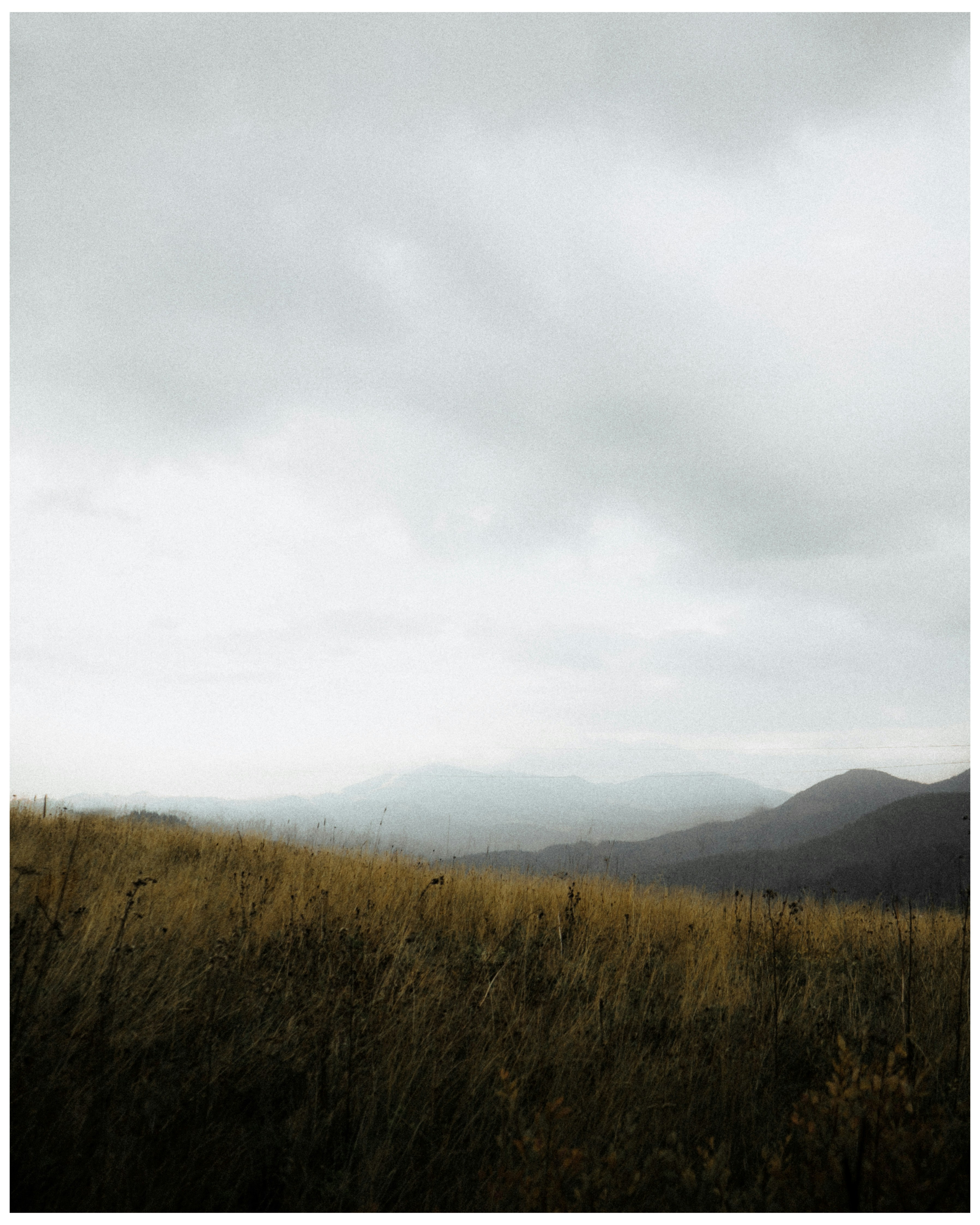 Photo by klimkovich_bogdan