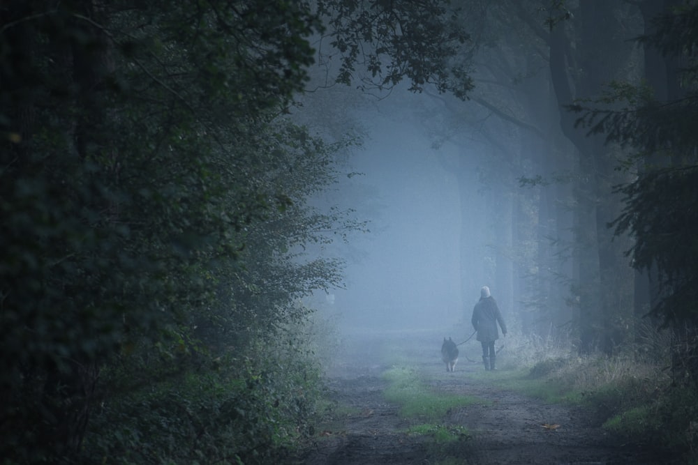霧の道で犬を散歩させる人