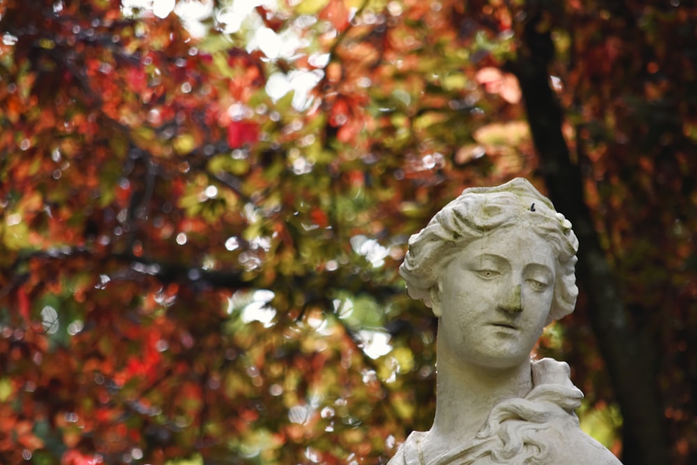 une statue d’une femme devant un arbre