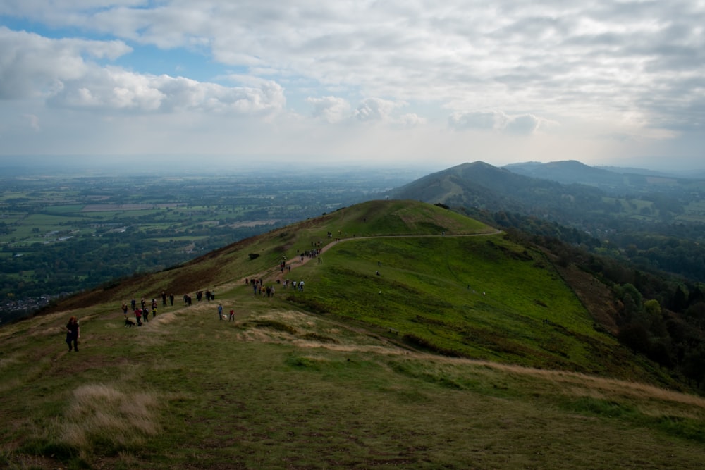 a group of people standing on top of a lush green hillside