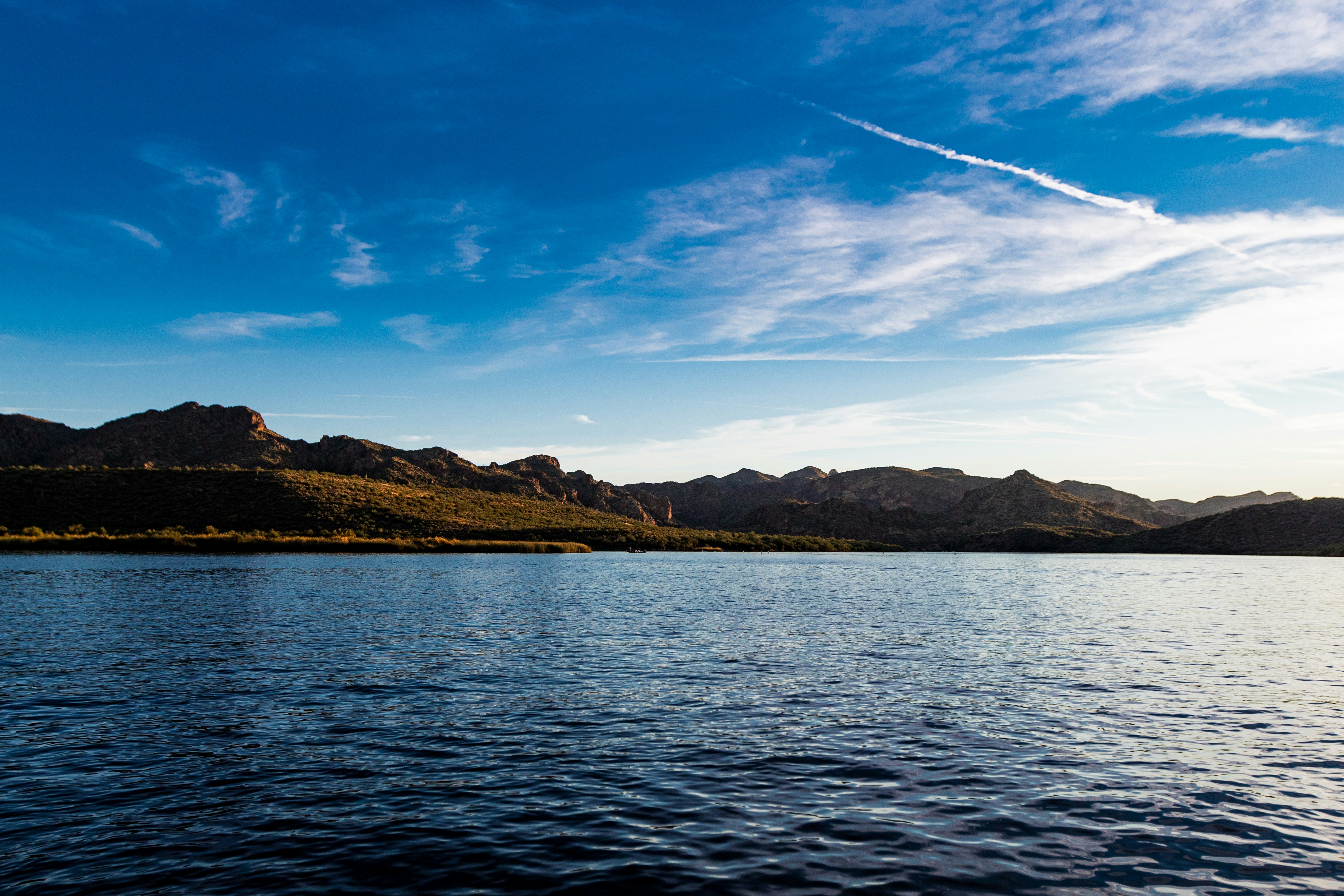 Photo by sean_mullowney