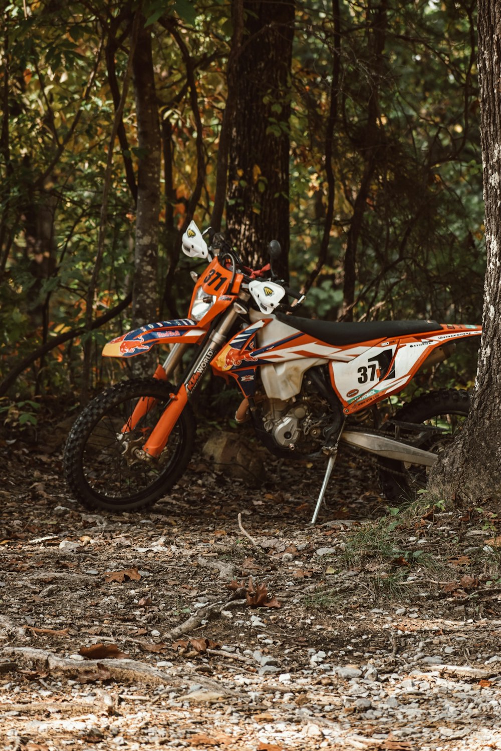 a dirt bike parked next to a tree in the woods