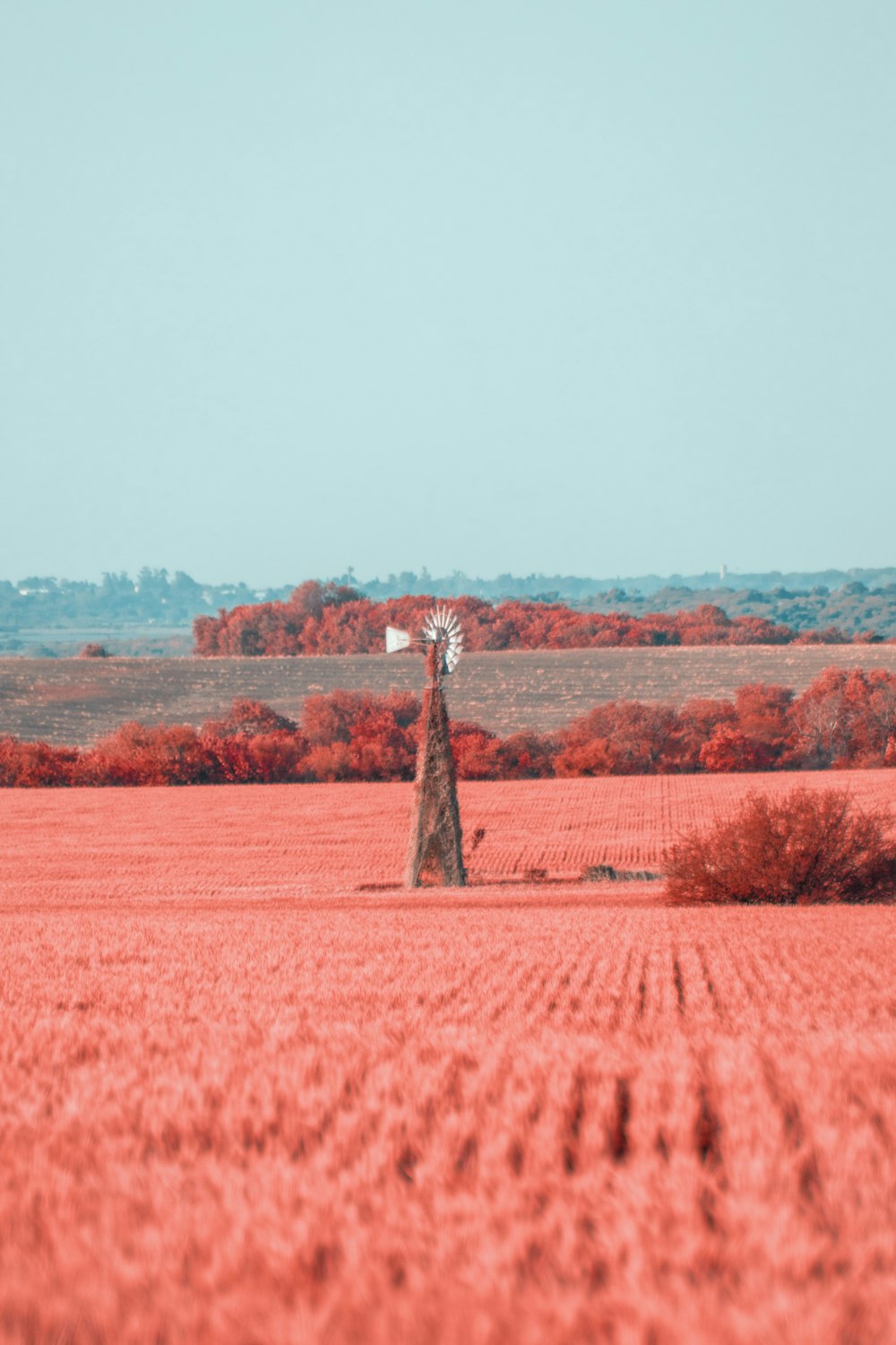 a windmill in the middle of a red field