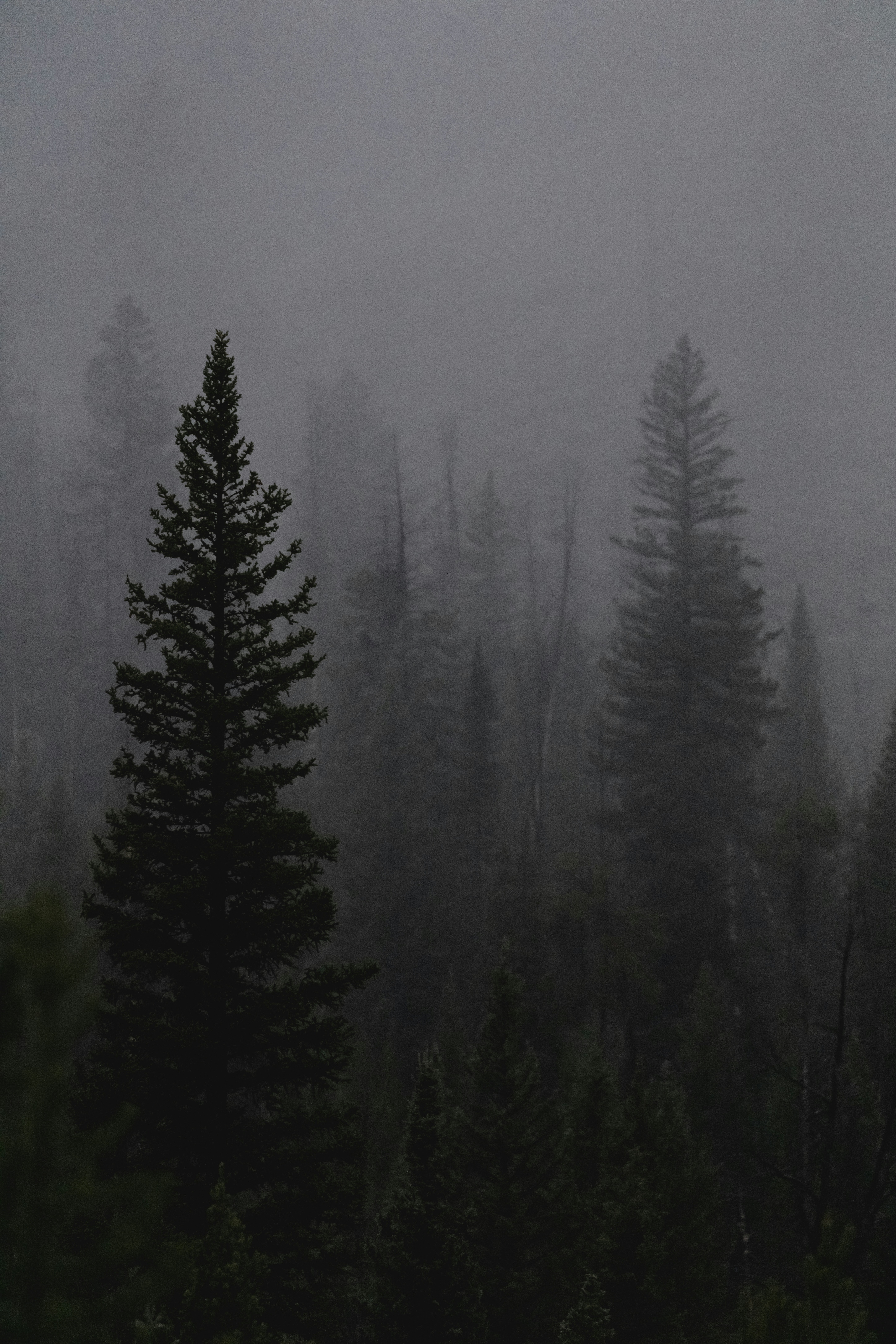 Photo by worldsbetweenlines