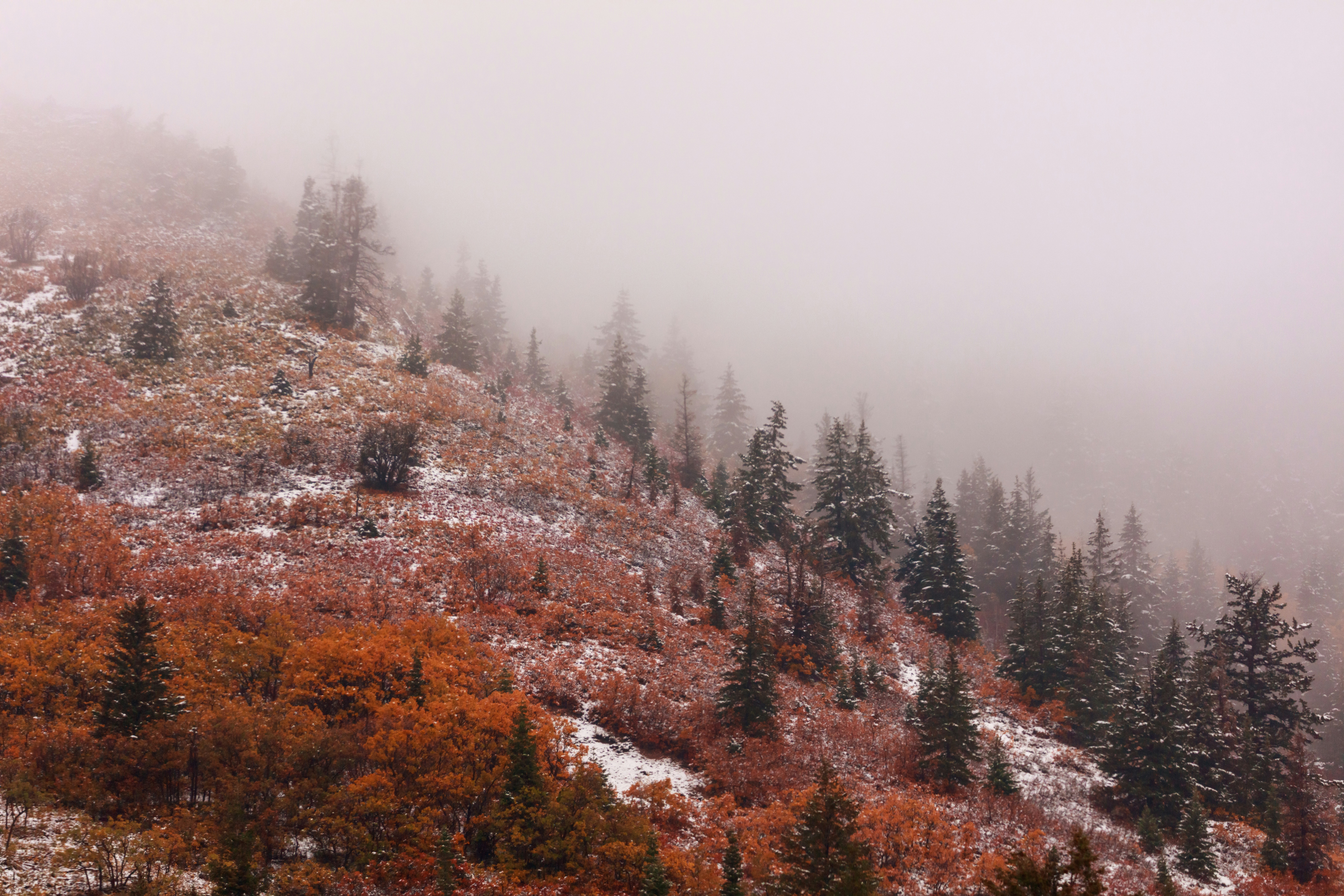 Photo by worldsbetweenlines