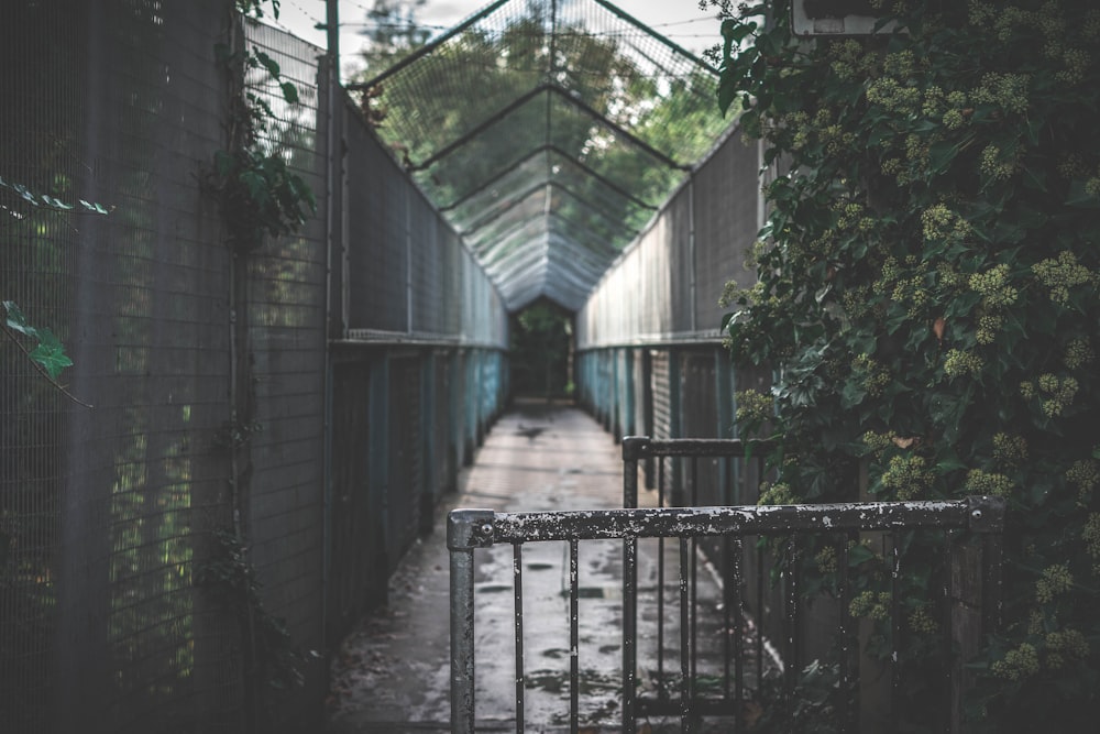 an alley way with a fence and a gate