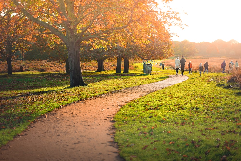 a group of people walking down a path in a park