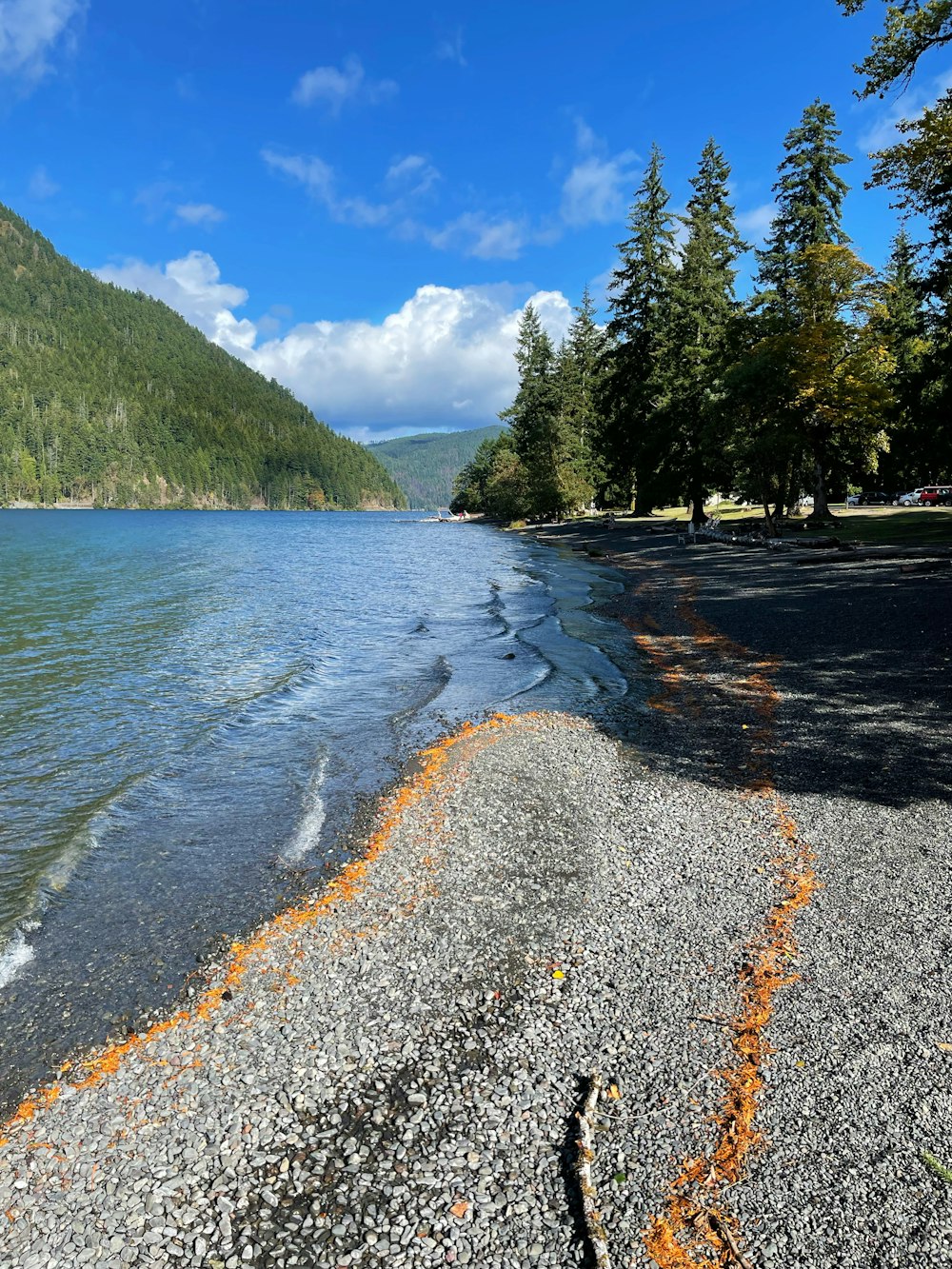 a body of water surrounded by mountains and trees