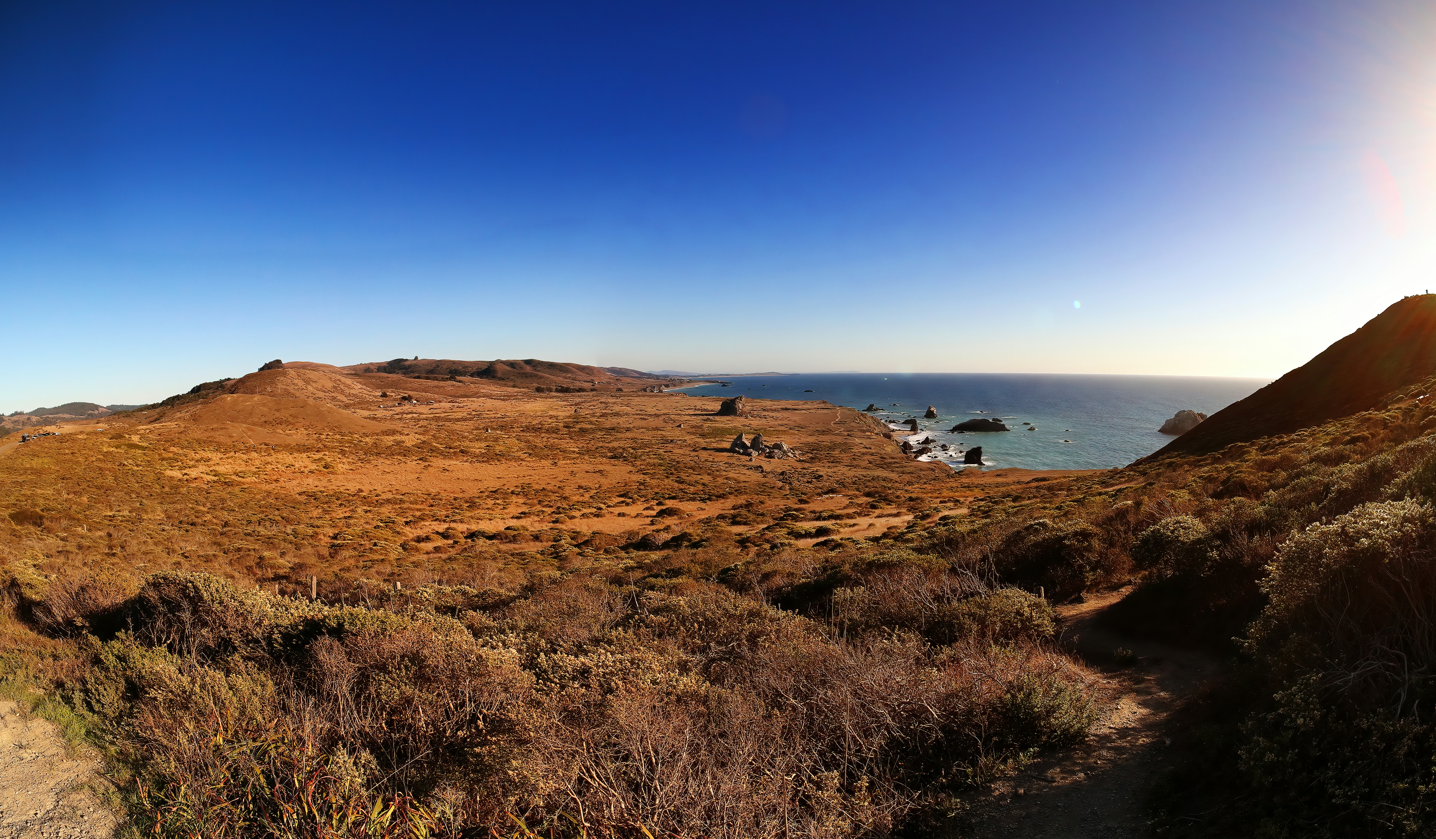 the sun is shining on a grassy area by the ocean