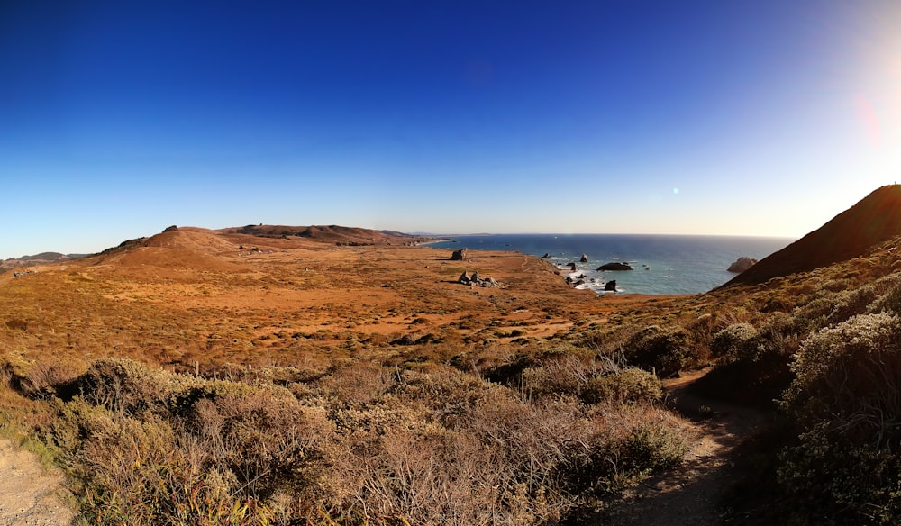 the sun is shining on a grassy area by the ocean