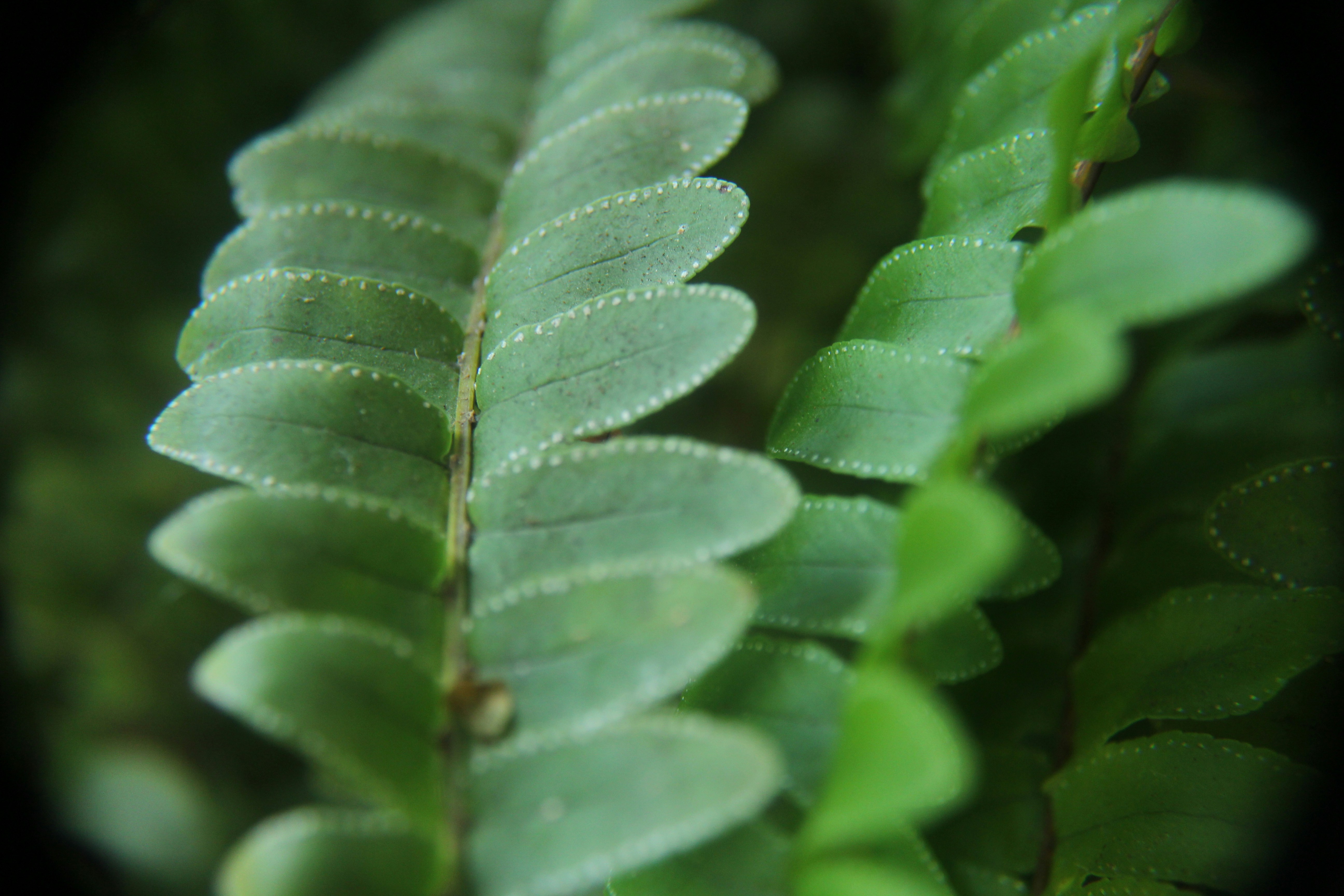 Photo by jeremyboley