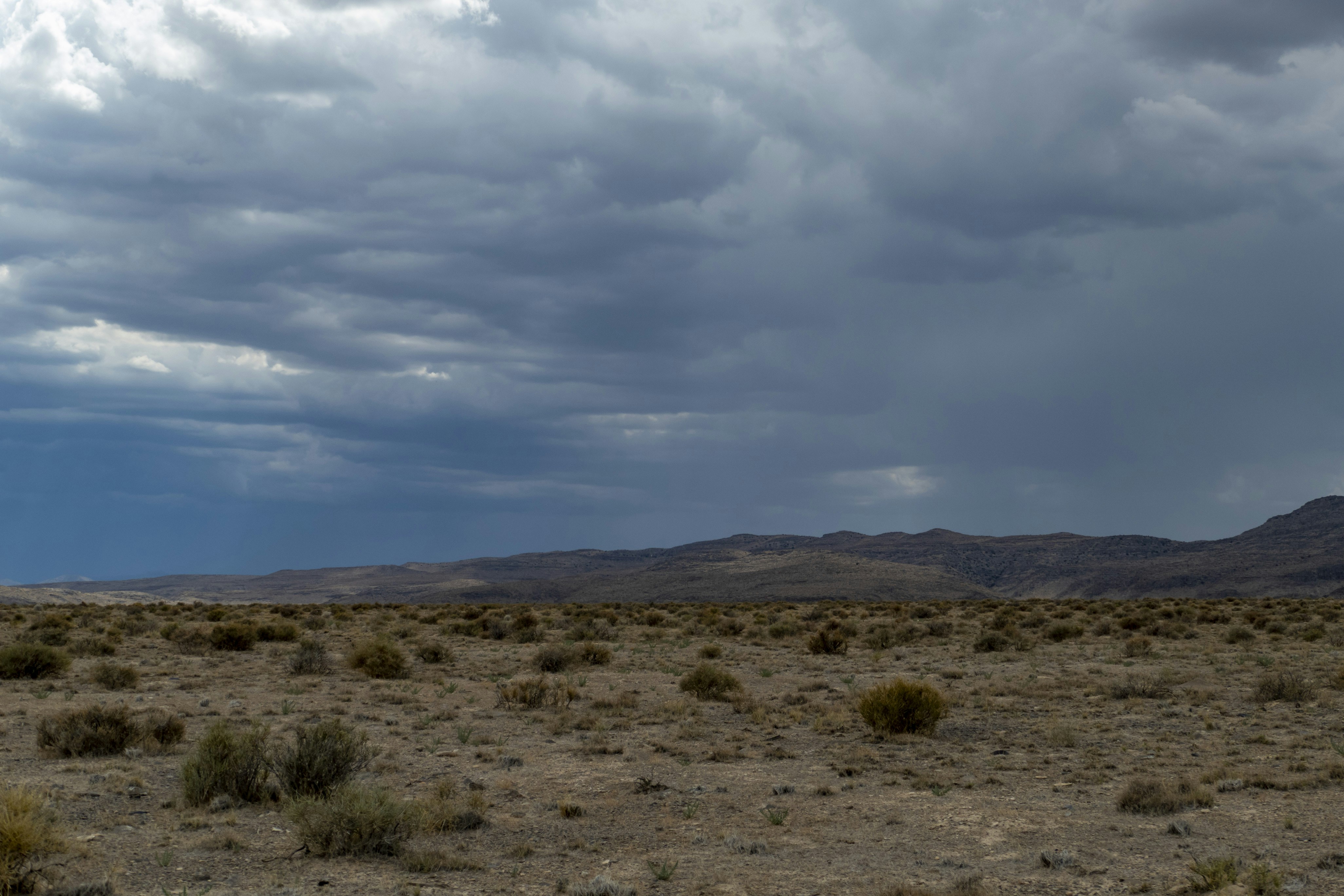 Rainfall: The Crucial Statistic (image credits: unsplash)