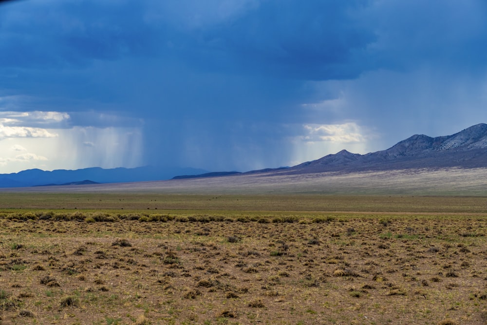 a large open field with mountains in the background