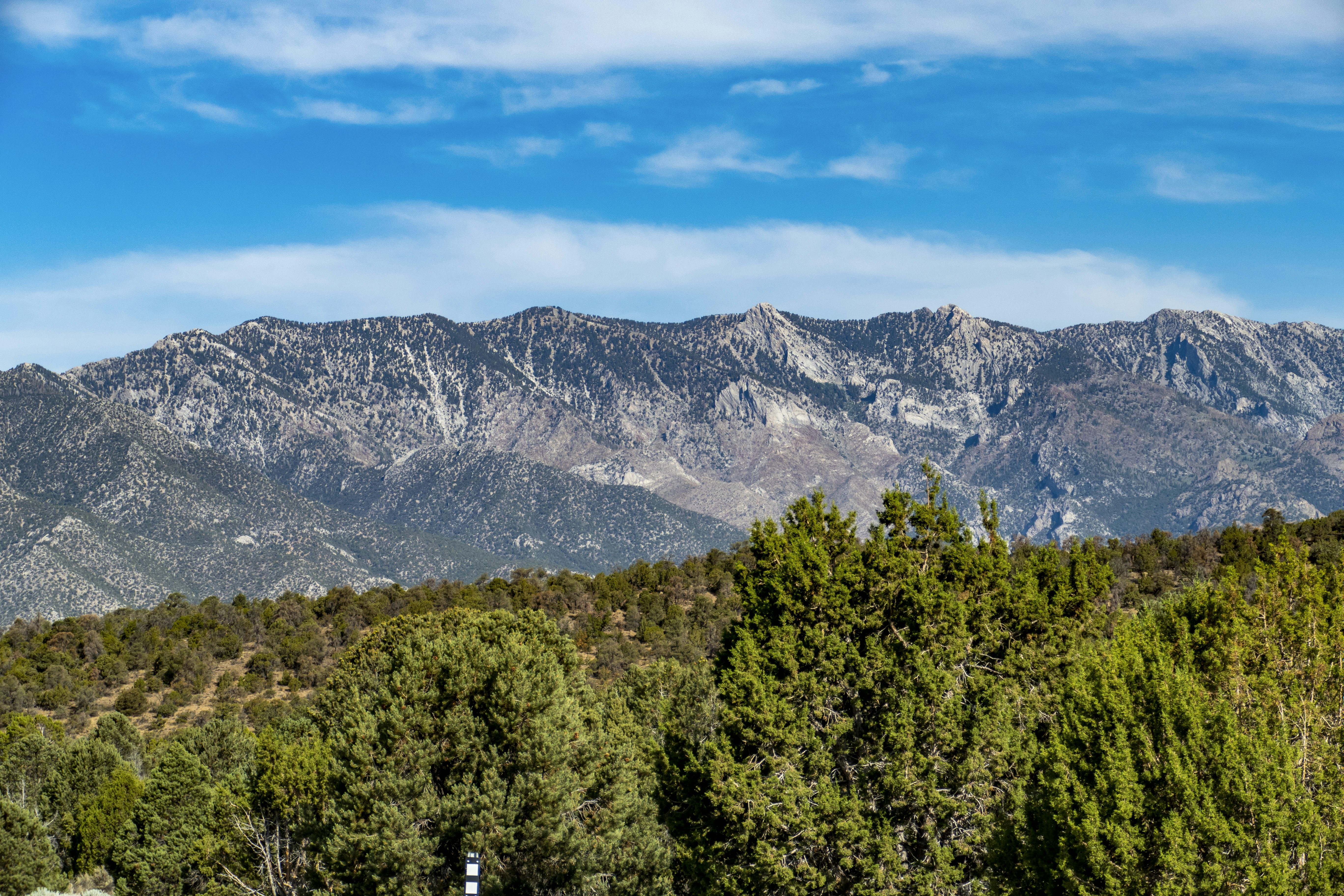 a view of a mountain range with trees in the foreground