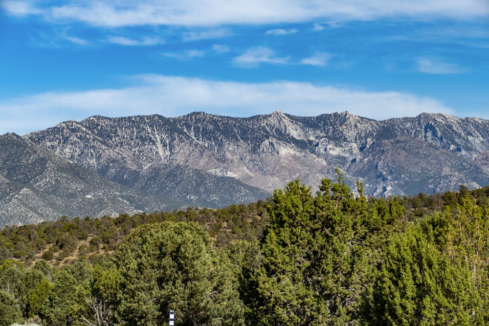 a view of a mountain range with trees in the foreground