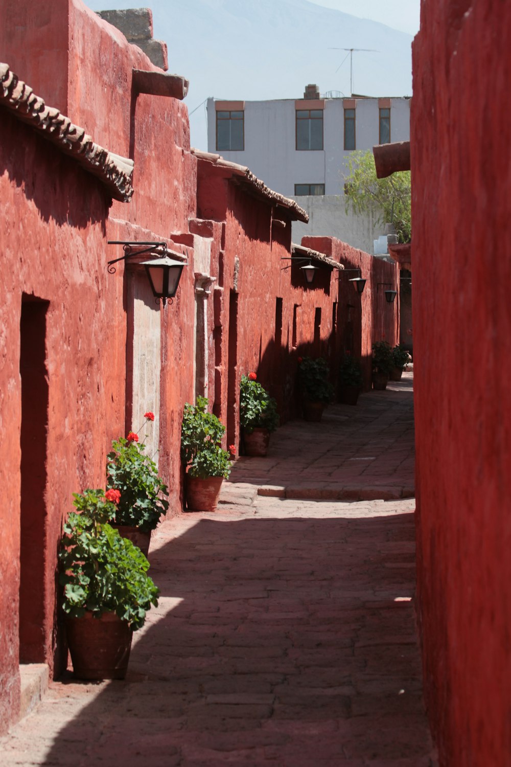 a narrow alley with red walls and potted plants