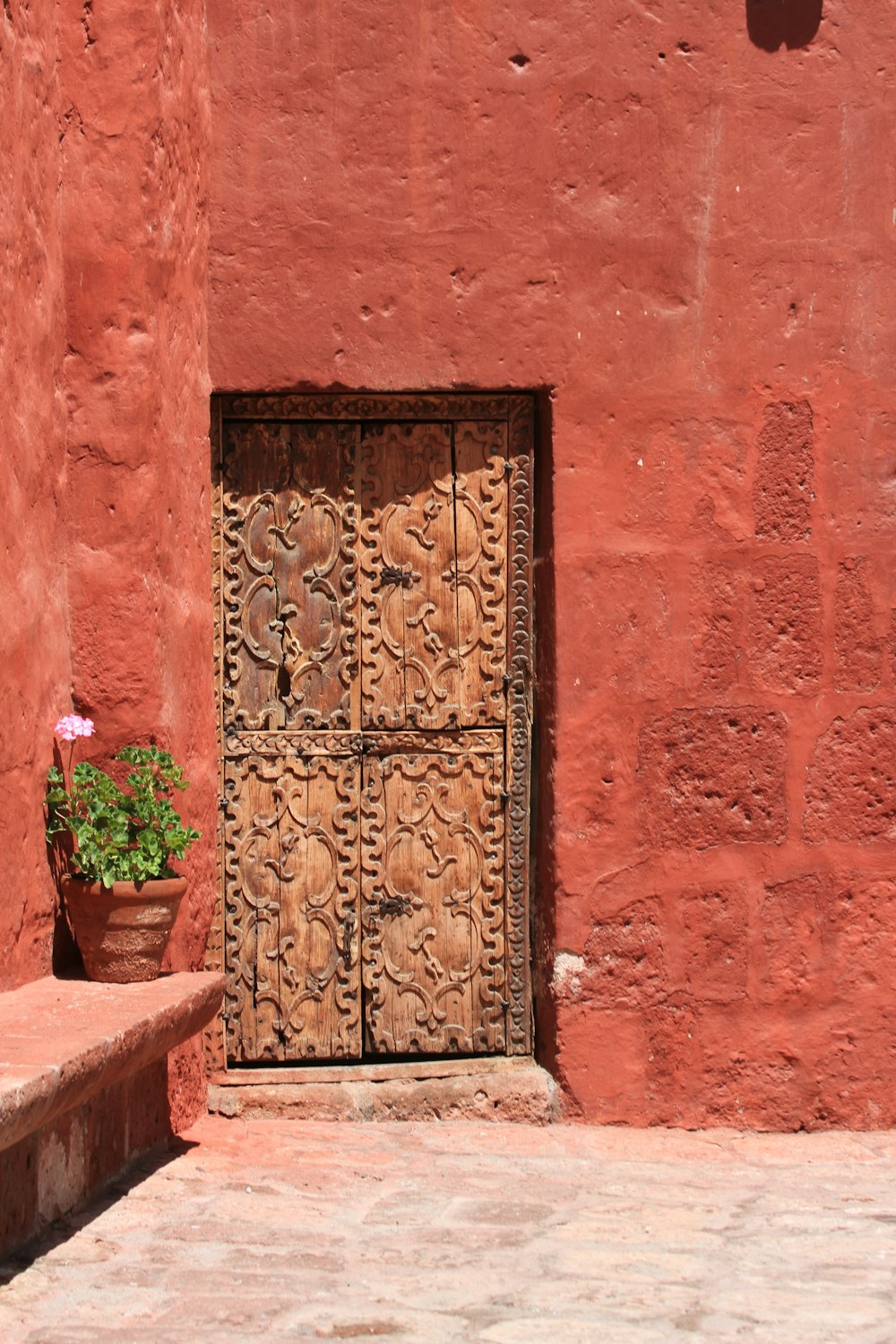 a door with a potted plant in front of it