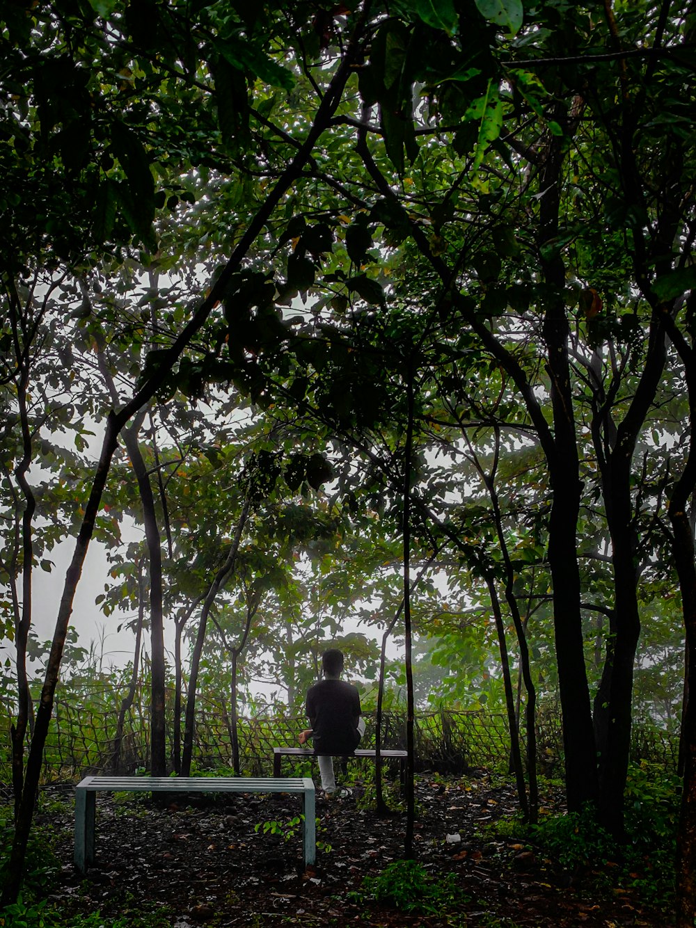 a person sitting on a bench in the woods