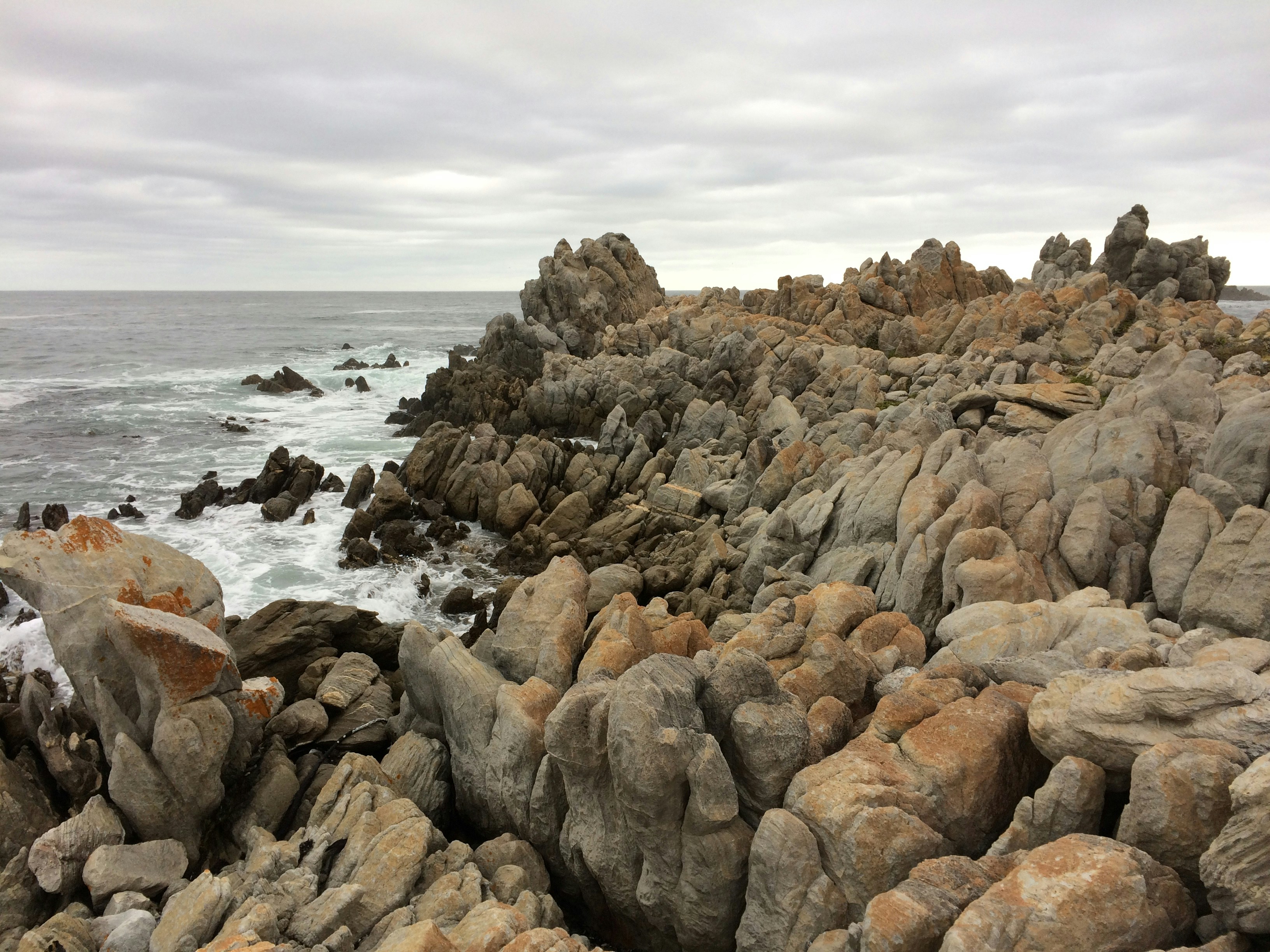 Photo by jeremyboley