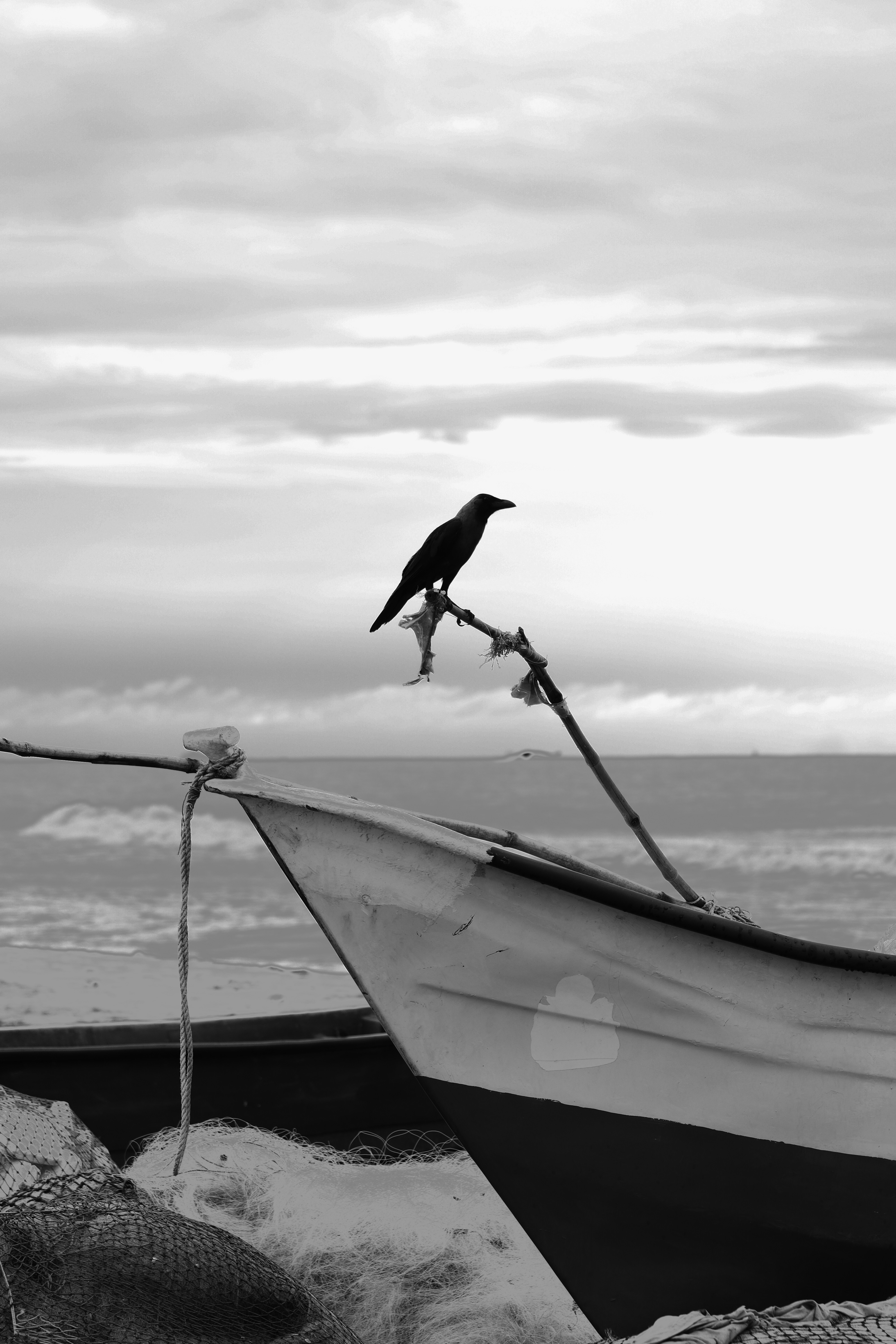 Photo by mariyan_rajesh