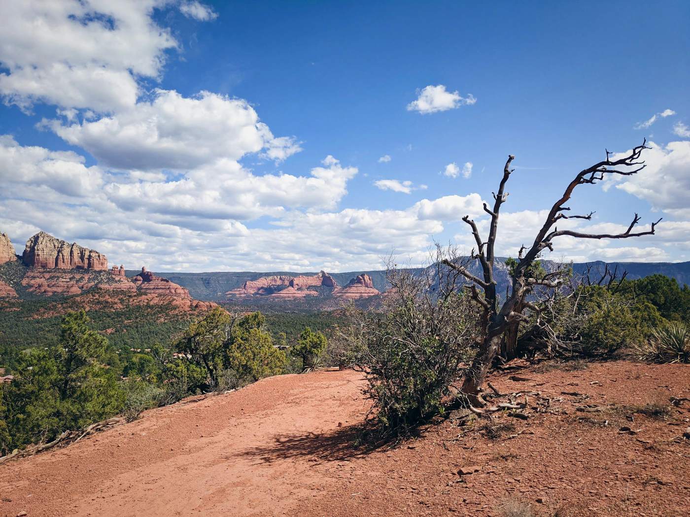 Oak Creek Canyon road between Flagstaff and Sedona