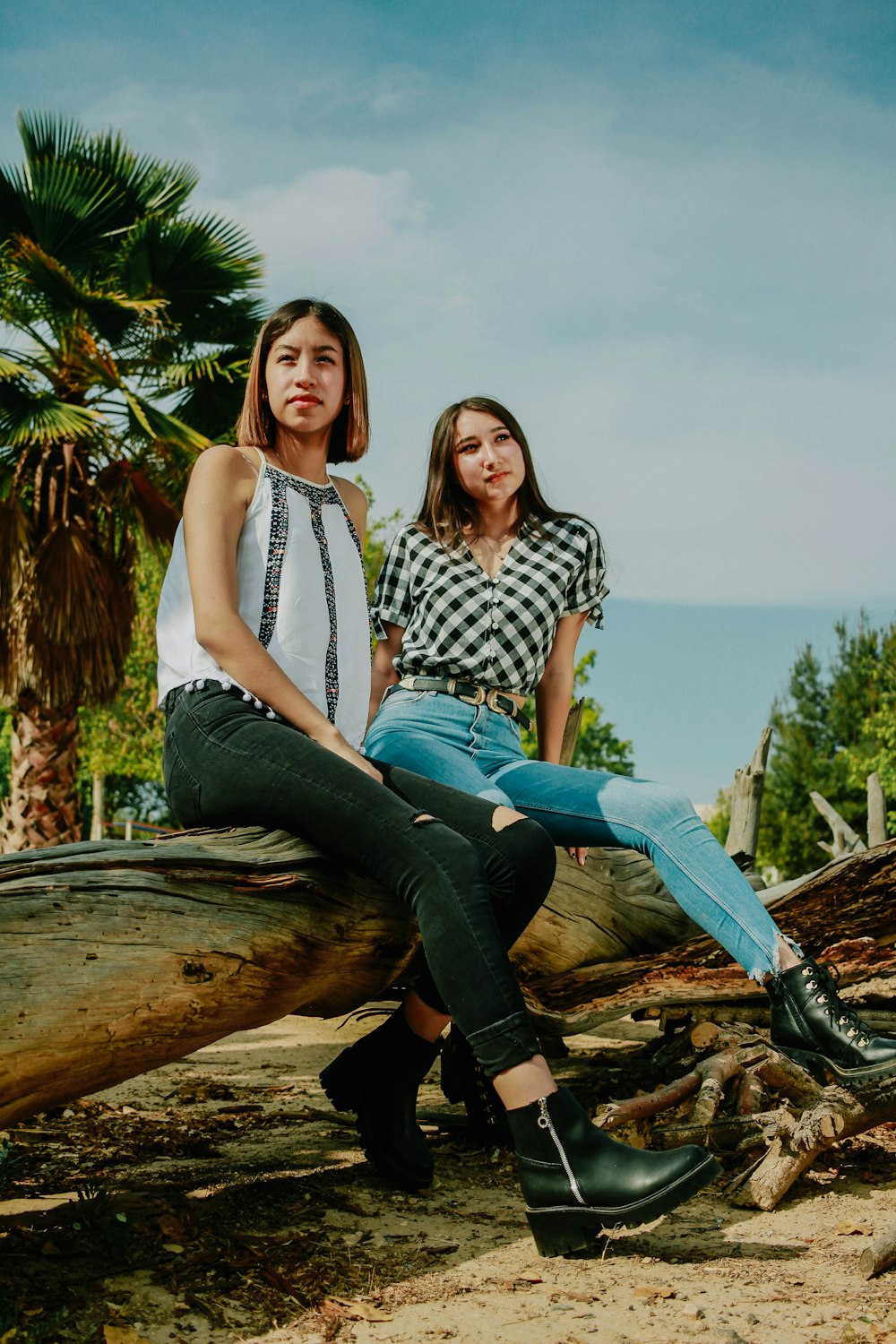 two young women sitting on a tree branch