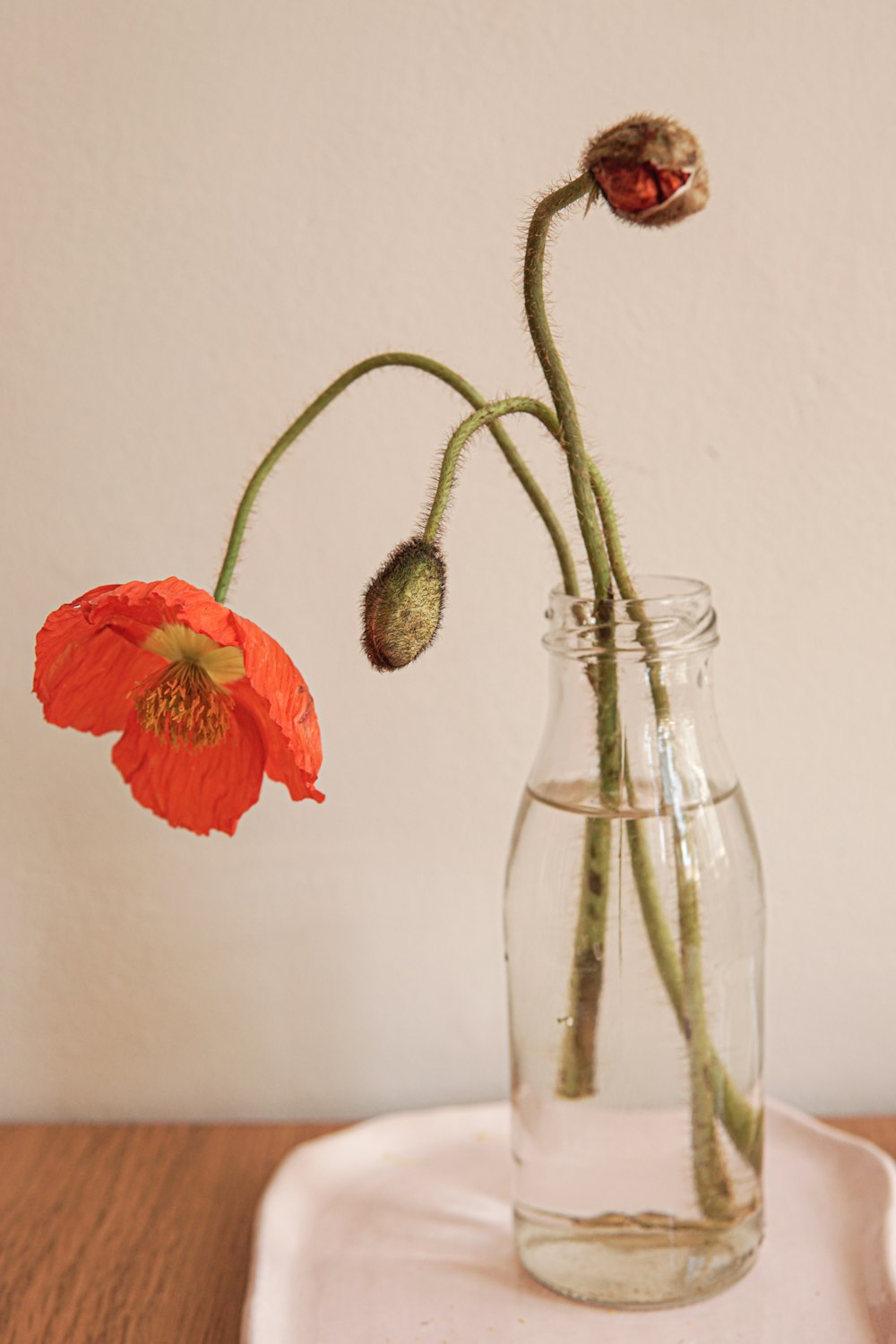 a vase filled with water and flowers on top of a wooden table