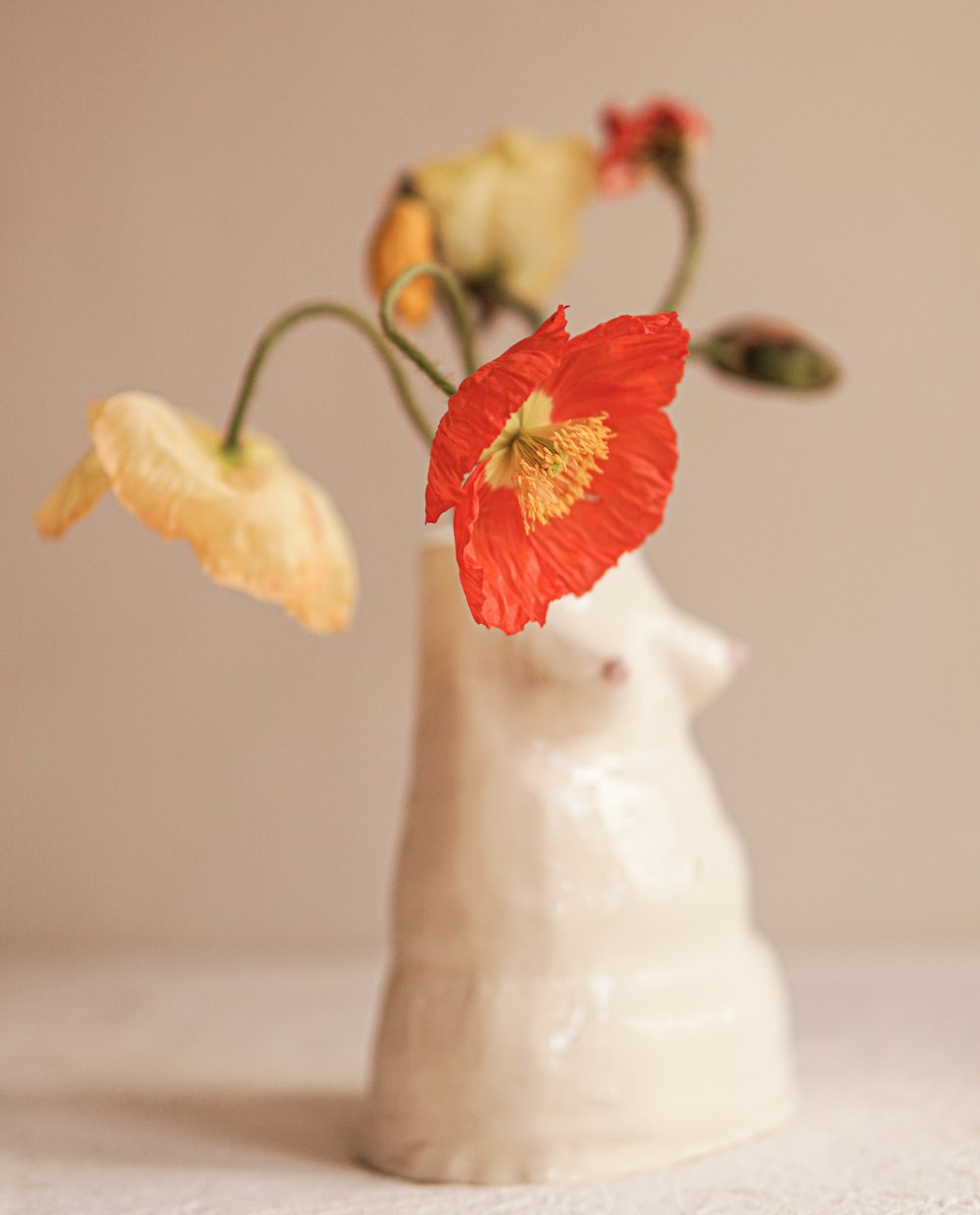 a white vase with a red flower in it