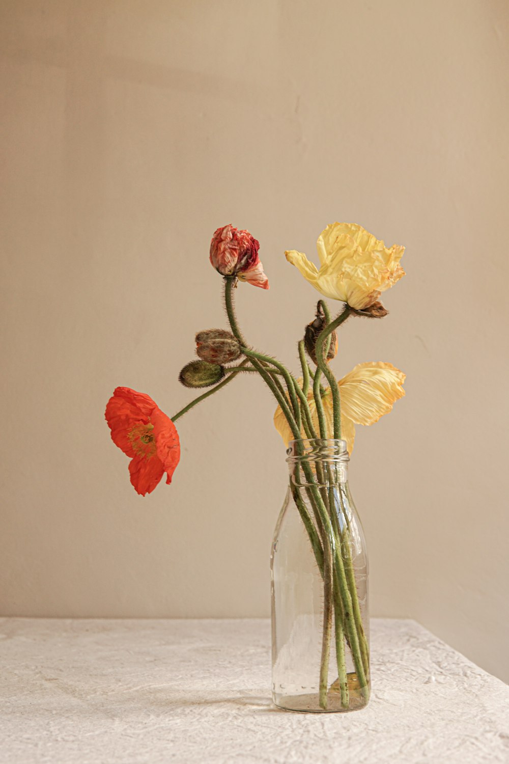 a vase filled with flowers on top of a table