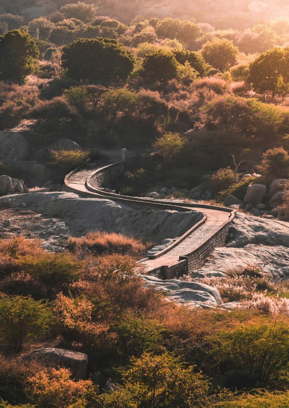 a winding road surrounded by trees and bushes