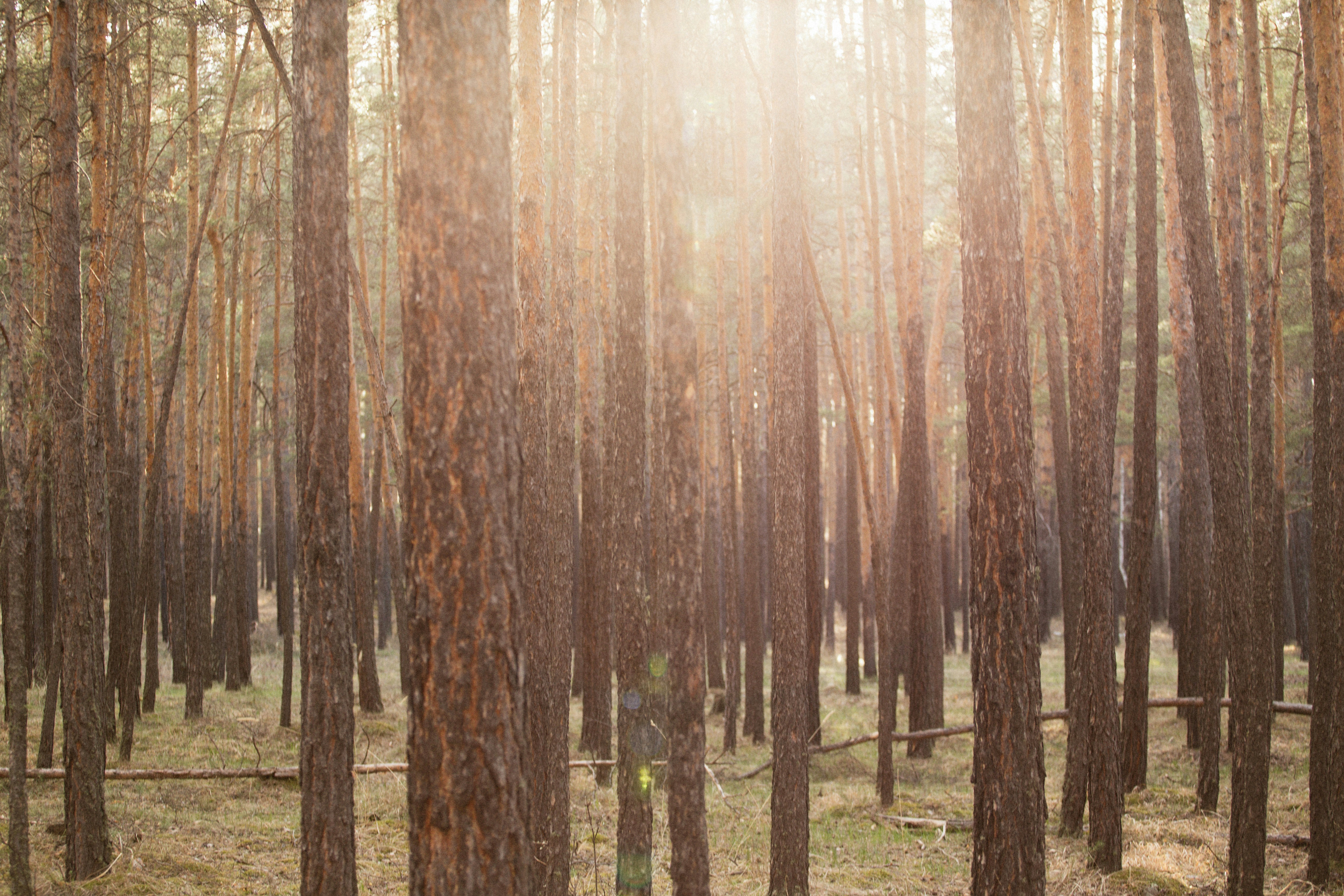 Photo by alexeydemidov